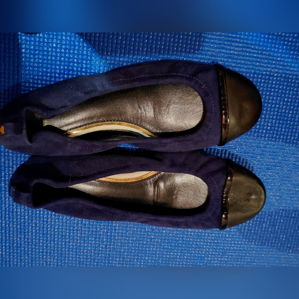 Lanvin Navy and Black Flats